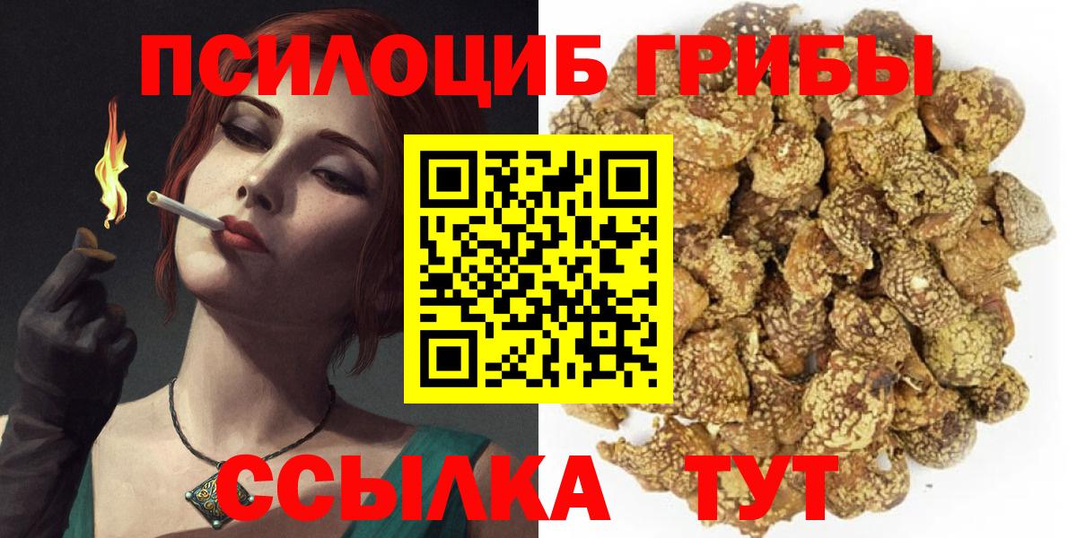 Галлюциногенные грибы Cubensis Пыть-Ях